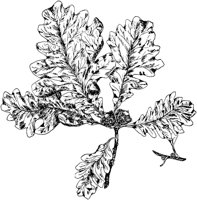PLF173A.TIF