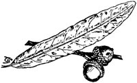 PLF172E.TIF