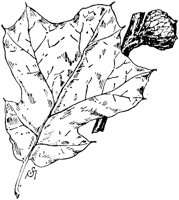 PLF172D.TIF