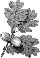 PLF172B.TIF