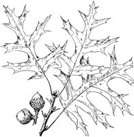 PLF172A.TIF