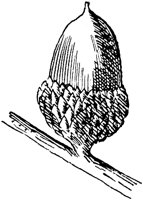 PLF171C.TIF