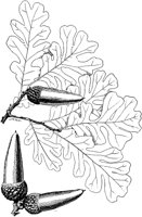 PLF170E.TIF