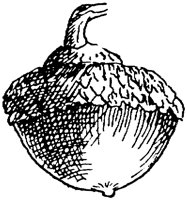 PLF170D.TIF