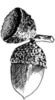 PLF170B.TIF