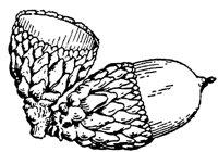 PLF169E.TIF
