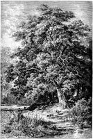 PLF169D.TIF