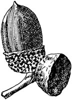 PLF169B.TIF