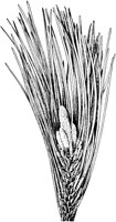 PLF168E.TIF