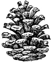 PLF168C.TIF