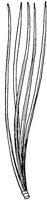 PLF167G.TIF