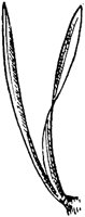 PLF167F.TIF