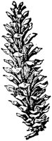 PLF167D.TIF