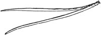 PLF166E.TIF