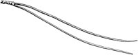 PLF166B.TIF