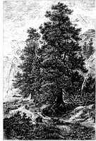PLF165D.TIF