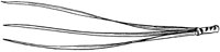 PLF165C.TIF