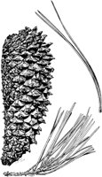 PLF164D.TIF