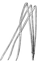 PLF163D.TIF