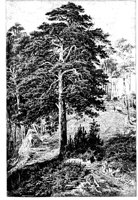 PLF162E.TIF