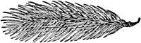 PLF160E.TIF