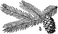 PLF160B.TIF