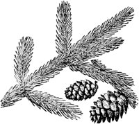 PLF160A.TIF