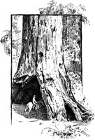 PLF159A.TIF