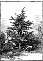 PLF157F.TIF