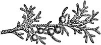 PLF156B.TIF