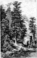 PLF154D.TIF