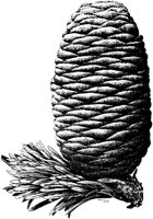 PLF154B.TIF