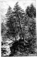 PLF152A.TIF