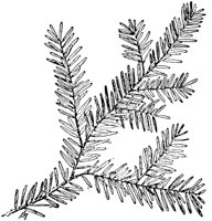 PLF151E.TIF