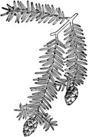 PLF151B.TIF