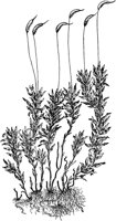 PLF149D.TIF