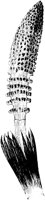 PLF148B.TIF