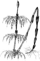 PLF147E.TIF