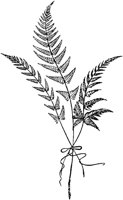 PLF143C.TIF