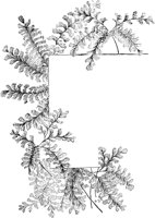 PLF140A.TIF