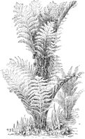 PLF139D.TIF