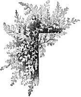 PLF139A.TIF
