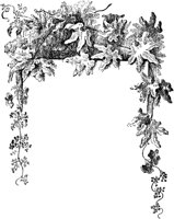 PLF138A.TIF