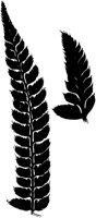 PLF134A.TIF