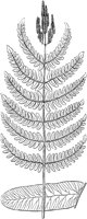 PLF133E.TIF