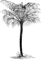 PLF133C.TIF