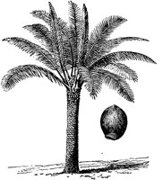 PLF226D.TIF