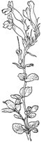 PLF225B.TIF