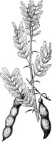PLF224F.TIF