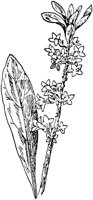 PLF224D.TIF